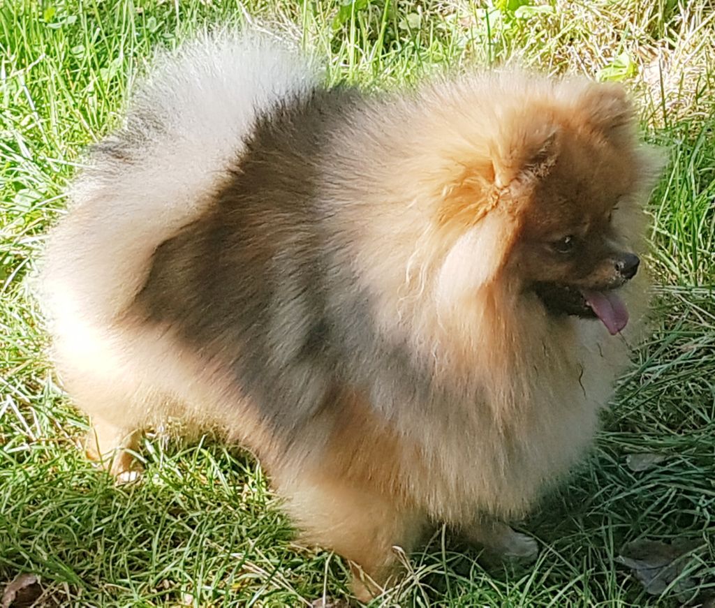 Rosita De L'Ile Aux Bouts De Choux